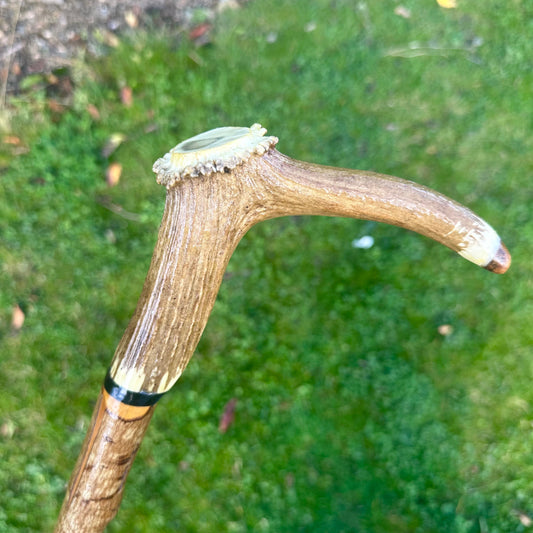 Hazel Walking Stick with Deer Antler Handle - 100 cm / 39 inches