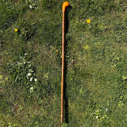 Hazel Shillelagh with Spalted Beech Head – 103 cm (40.5”)