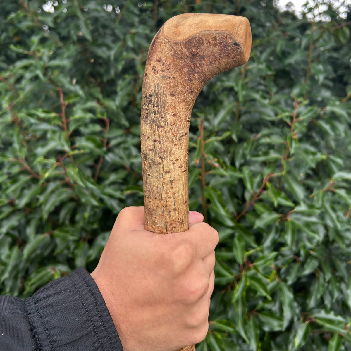 Lightweight Irish Walking Stick with Small Handle – 96 cm (37.8”)
