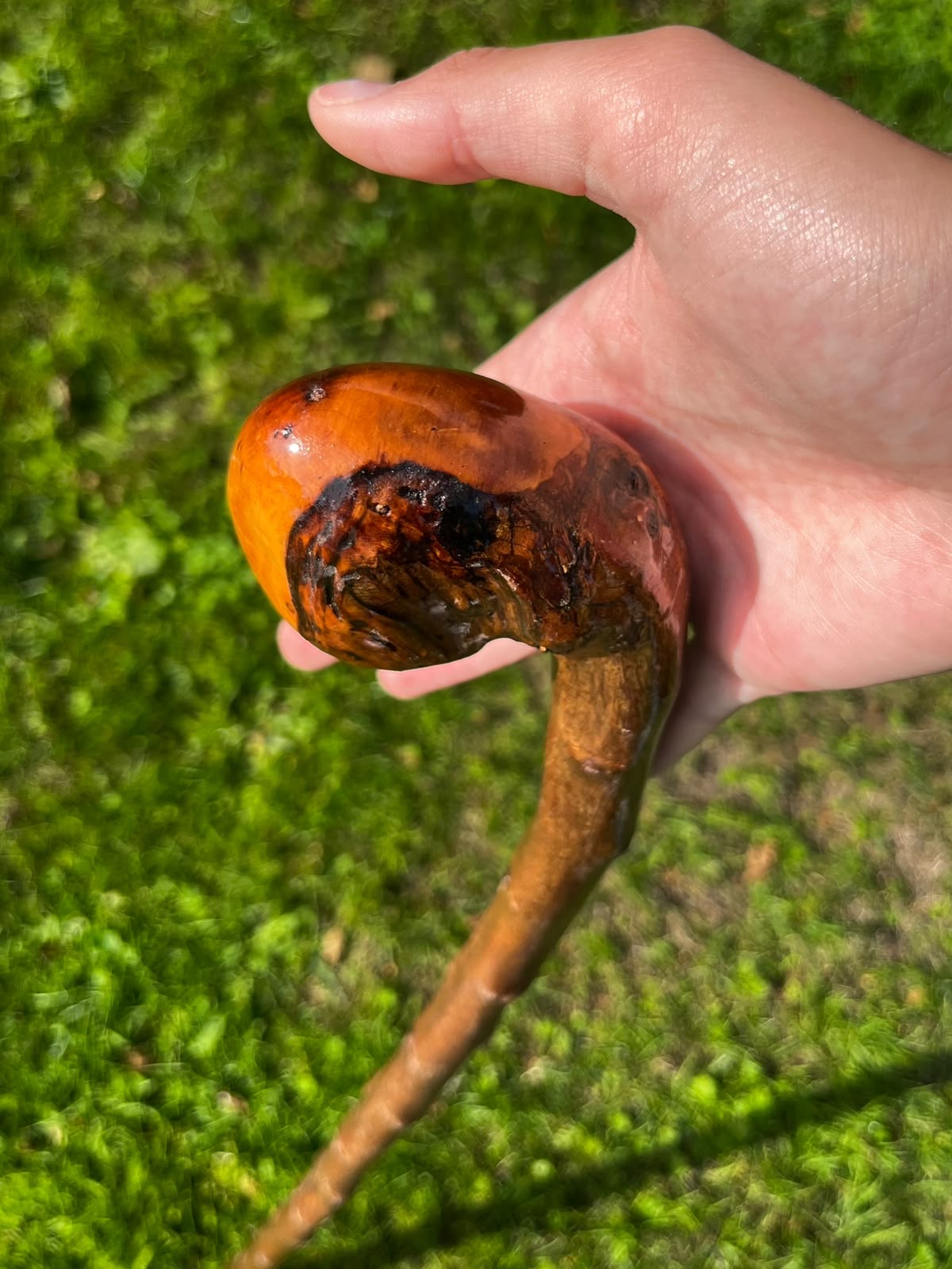 Hazel Knob Walking Stick – 88 cm (33.6”)