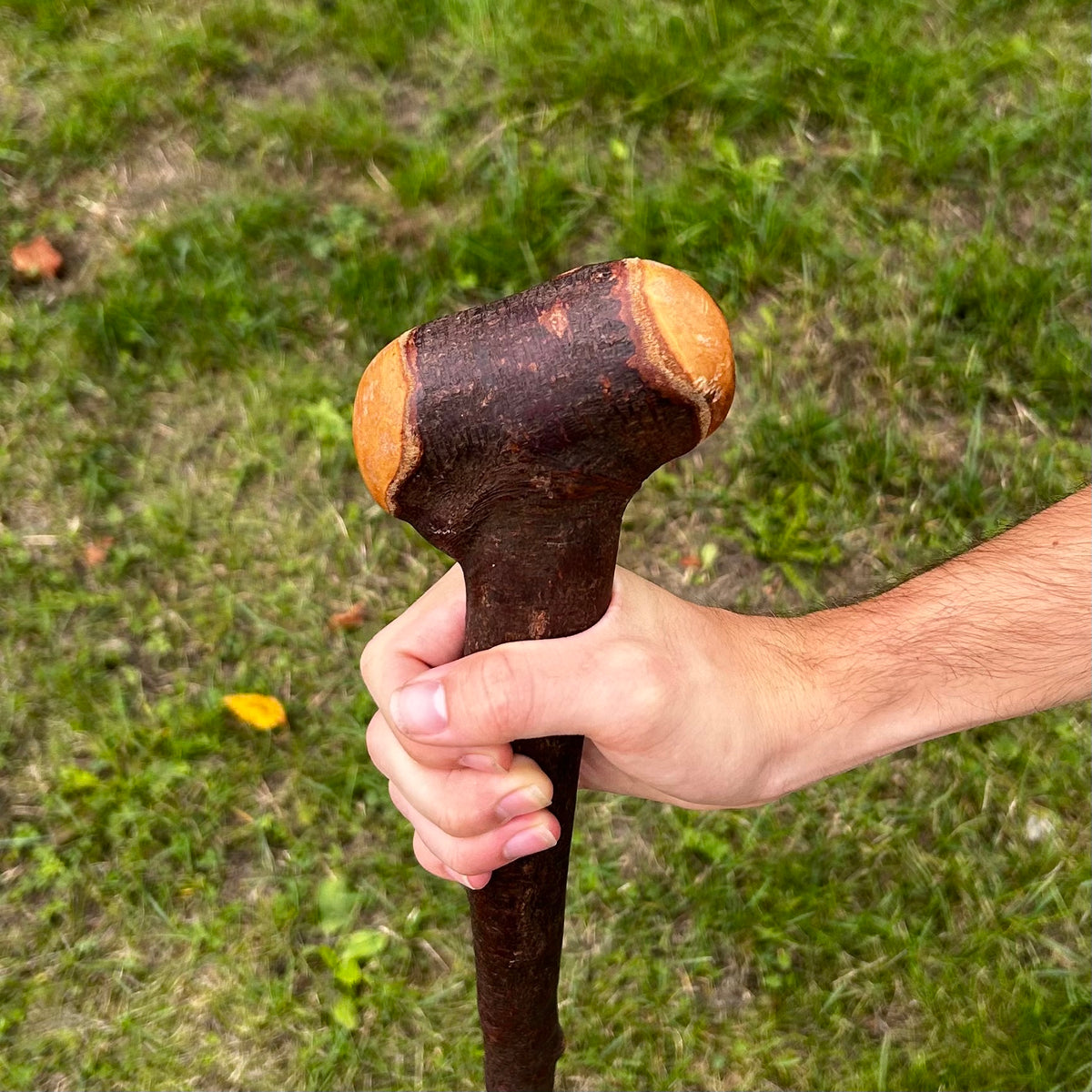 T-Shaped Handle Blackthorn Shillelagh – 97 cm (38.2”)