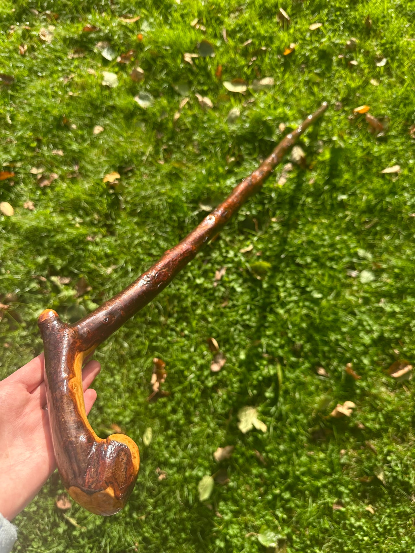 Blackthorn Walking Stick with L Handle and Doorknocker Feature - 120 cm / 47 inches