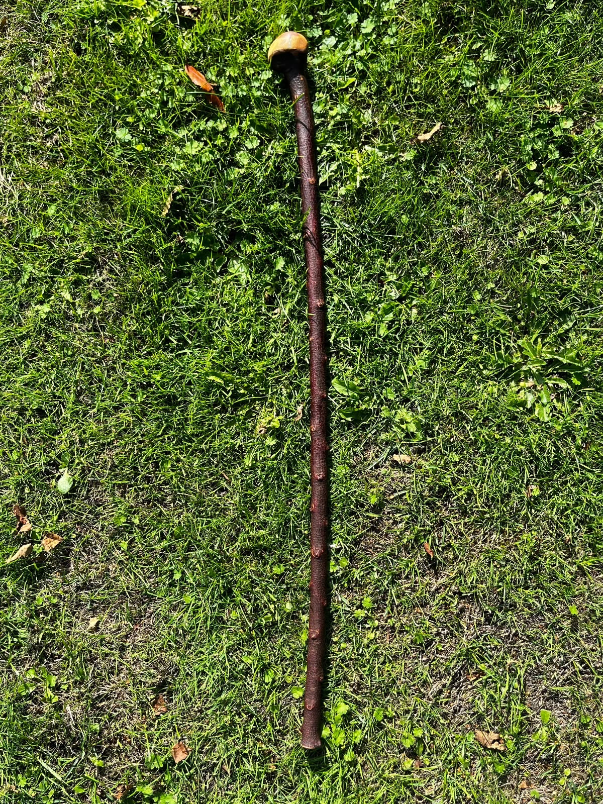 Blackthorn Large Round Knob Shillelagh Walking Stick – 85 cm (33.4”)