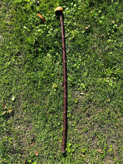 Milky Way Mick - Shillelagh