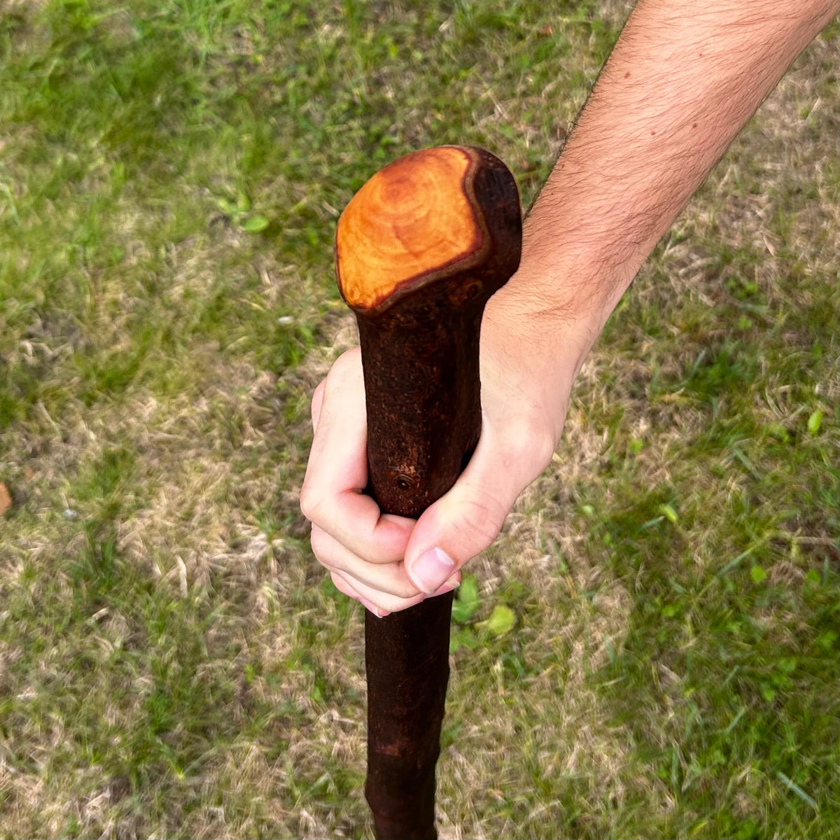 Thick Blackthorn Shillelagh Round Knob Stick – 96 cm (37.8”)