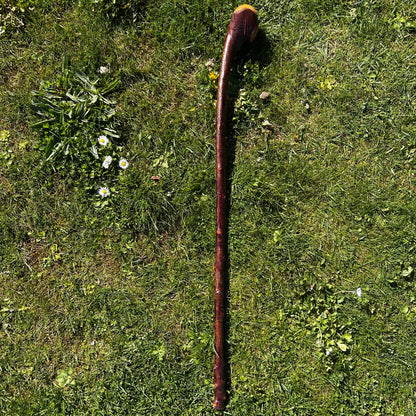 Blackthorn Root Ball Shillelagh – 90 cm (35.4”)