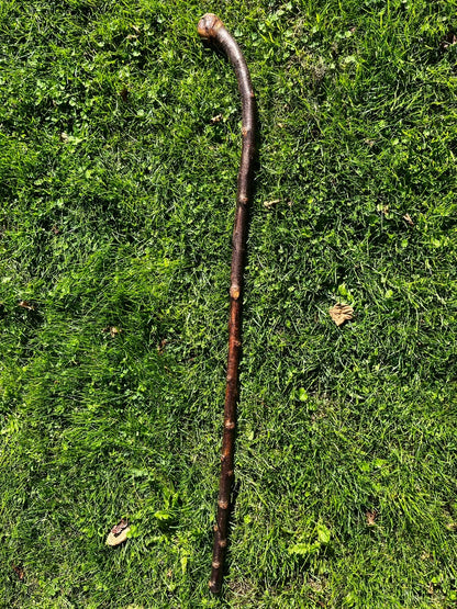 Kevin Curvy - Shilelagh