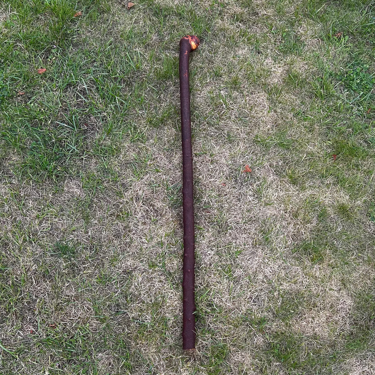 Heavy Chunky Blackthorn Shillelagh Fighting Stick – 102 cm (40.2”)