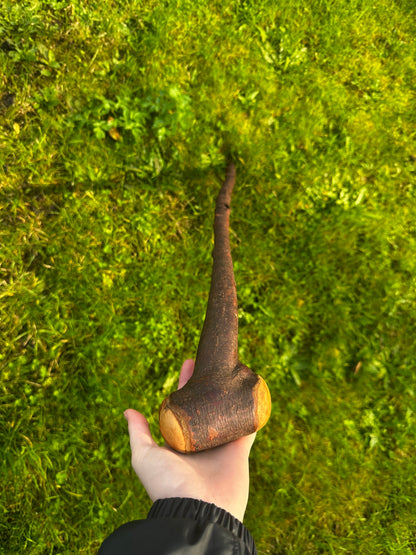 Blackthorn Walking Stick with Tidy Knob Head – 97 cm (38.1”)