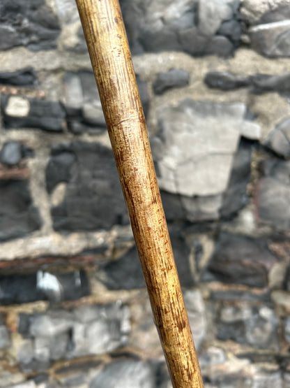 Hazel Walking Stick with Finished Knob Handle – 103 cm (40.5")