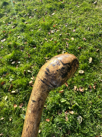 Hazel Walking Stick with Round Handle -  98 cm / 38.6 inches