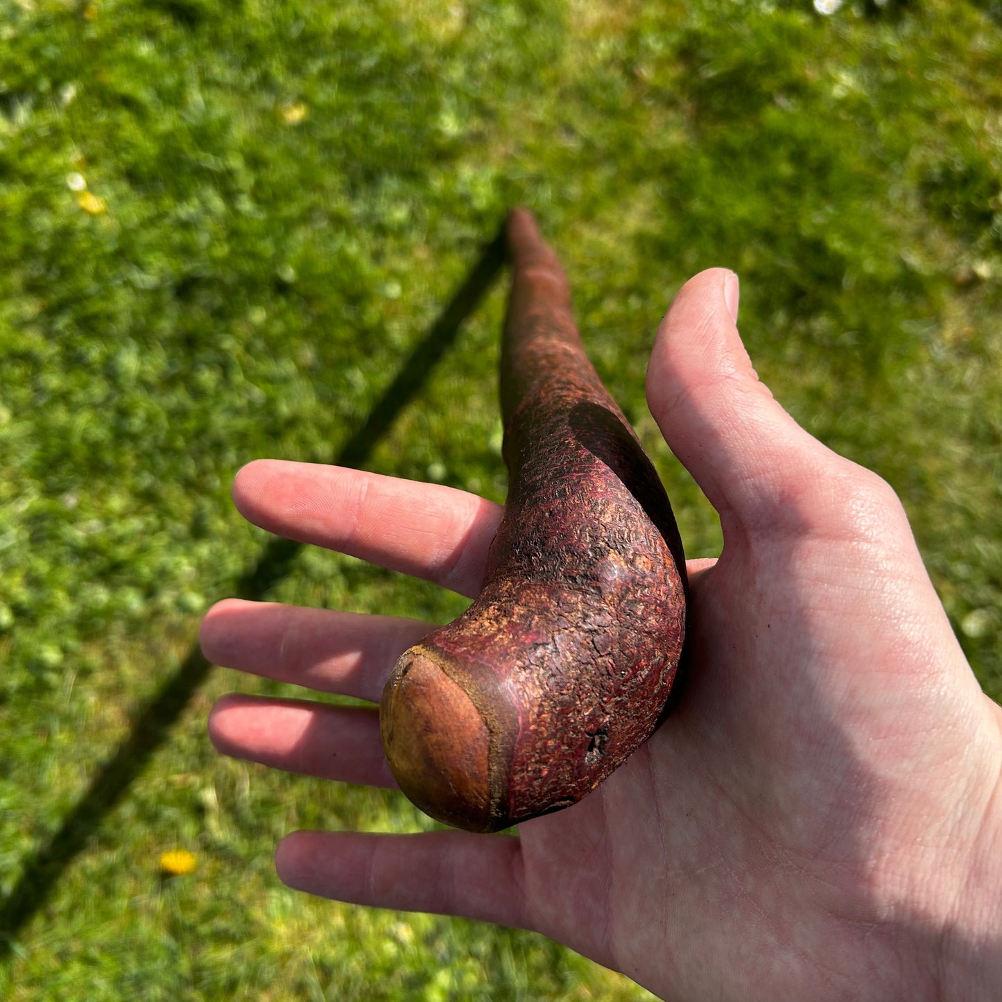 Sloped Knob Head Blackthorn Shillelagh – 96 cm (37.8”)