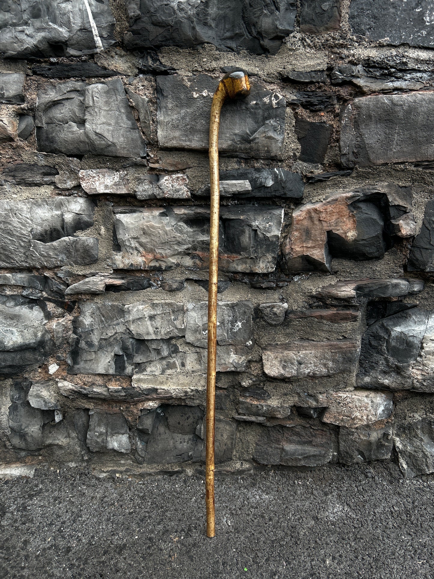 Hazel Walking Stick with Finished Knob Handle – 103 cm (40.5")