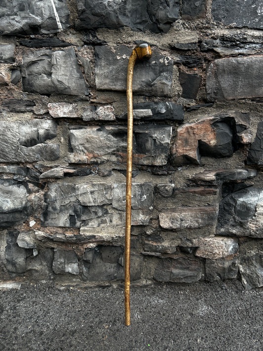 Hazel Walking Stick with Finished Knob Handle – 103 cm (40.5")