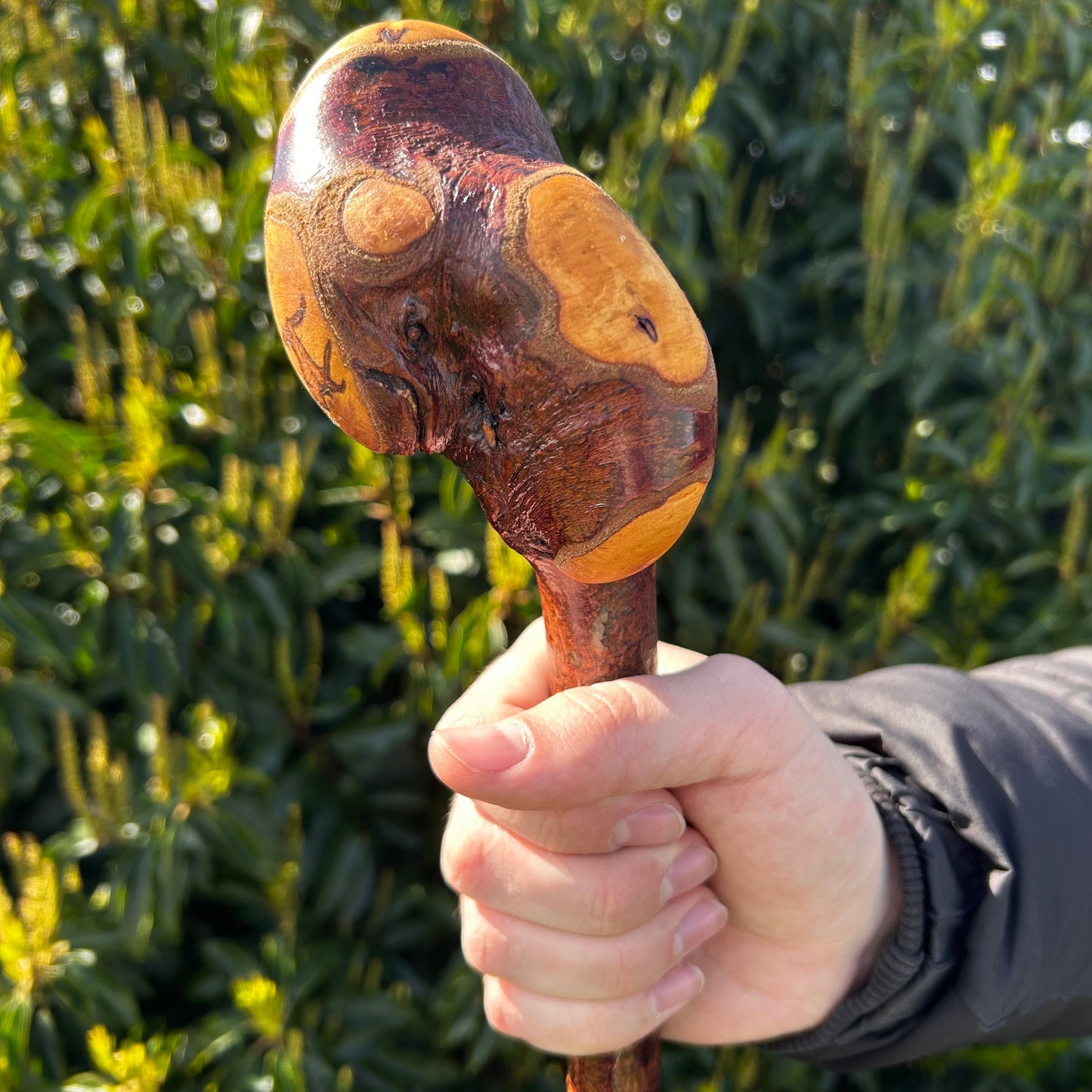 Blackthorn Root Ball Shillelagh – 90 cm (35.4”)