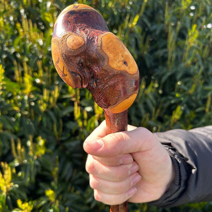 Blackthorn Root Ball Shillelagh – 90 cm (35.4”)