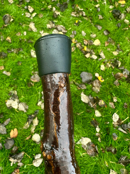 Irish Blackthorn Walking Stick with L Handle – 38”