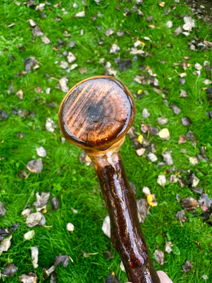 Irish Blackthorn Walking Stick with L Handle – 38”