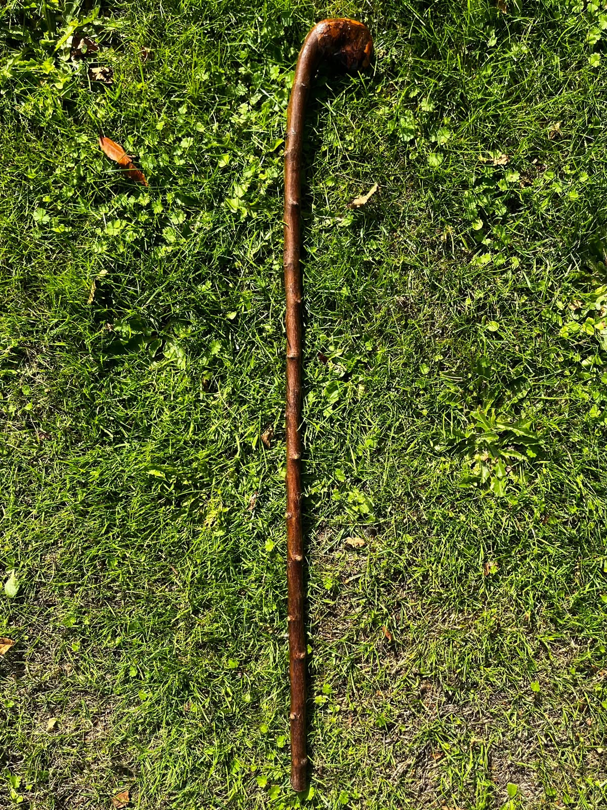 Hazel Knob Walking Stick – 88 cm (33.6”)