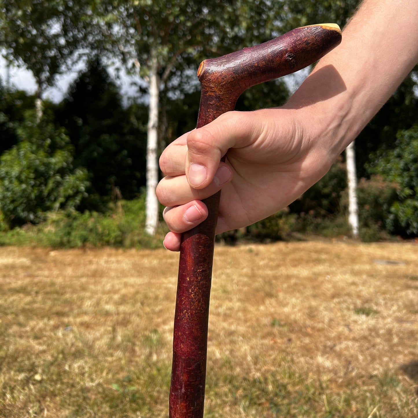 Blackthorn Shillelagh L Handle “Door Knocker” – 87 cm (34.3”)