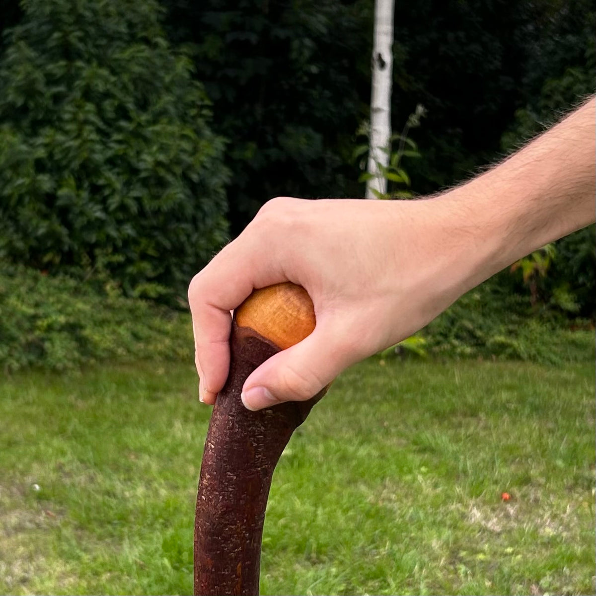 Natural Crooked Shaft Blackthorn Shillelagh – 102 cm (40.2”)