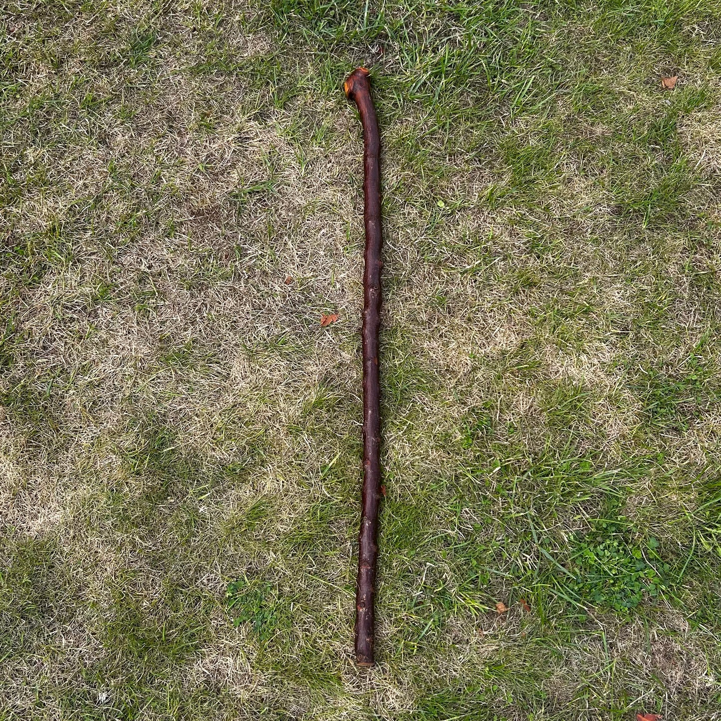 Blackthorn Shillelagh Knob Stick with Shoulder – 91 cm (35.8”)