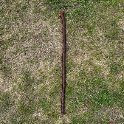 Shoulder Sean - Shillelagh – 91 cm (35.8”)