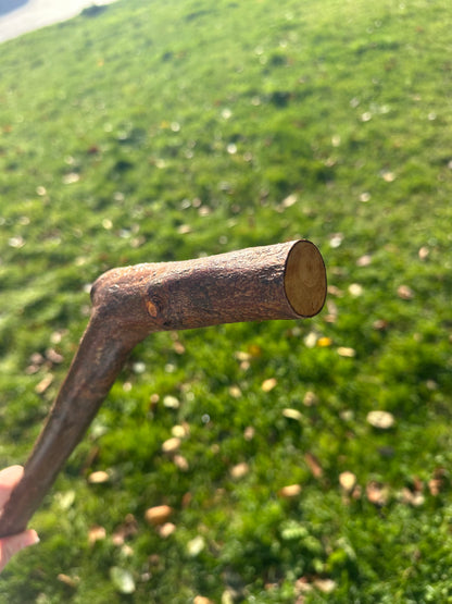 Blackthorn Walking Stick with L Handle - 97 cm / 38.2 inches