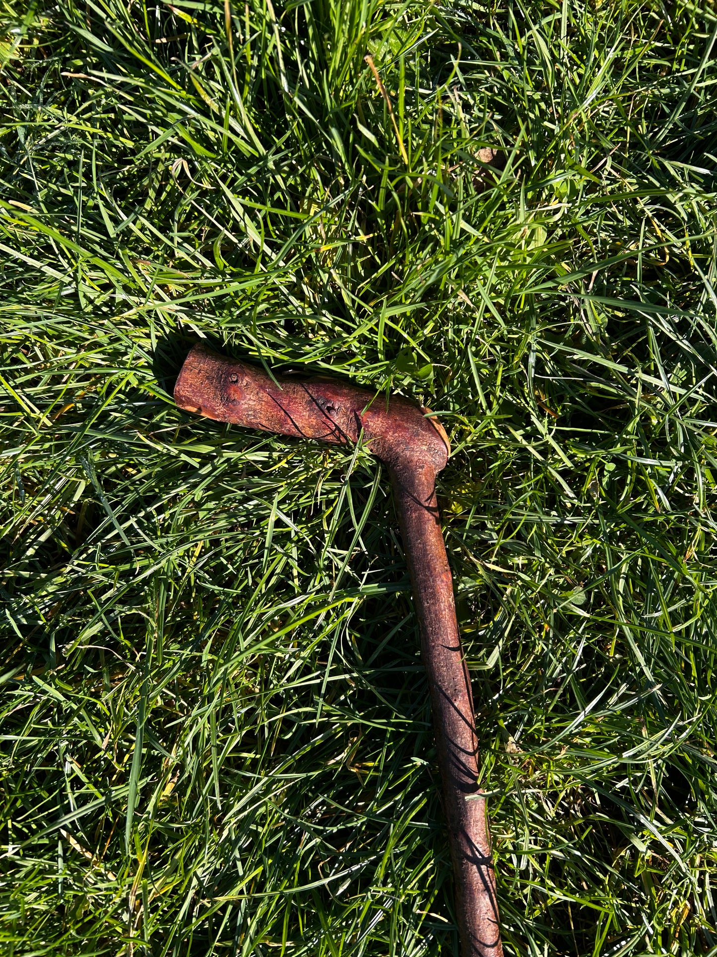 Blackthorn Walking Stick with L Handle – 102 cm / 40 inches