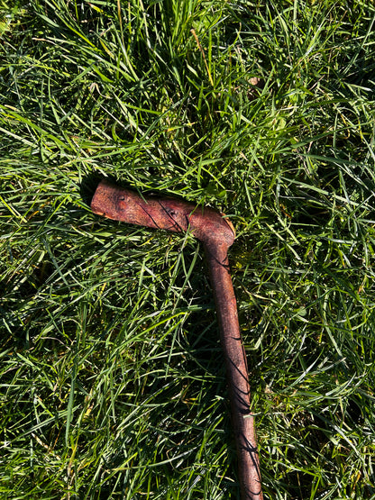 Blackthorn Walking Stick with L Handle – 102 cm / 40 inches