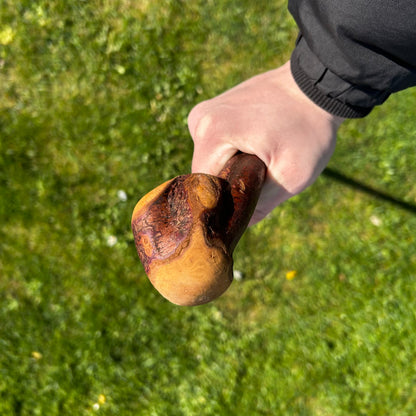 Rustic Blackthorn Shillelagh Root Ball Handle – 95 cm (37.4”)