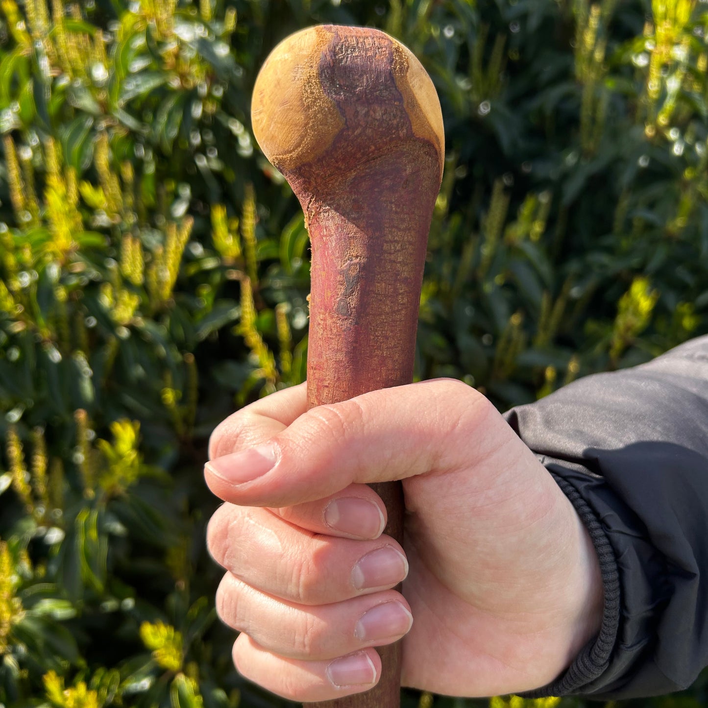 Blackthorn Shillelagh Knob Stick – 96 cm (37.8”)