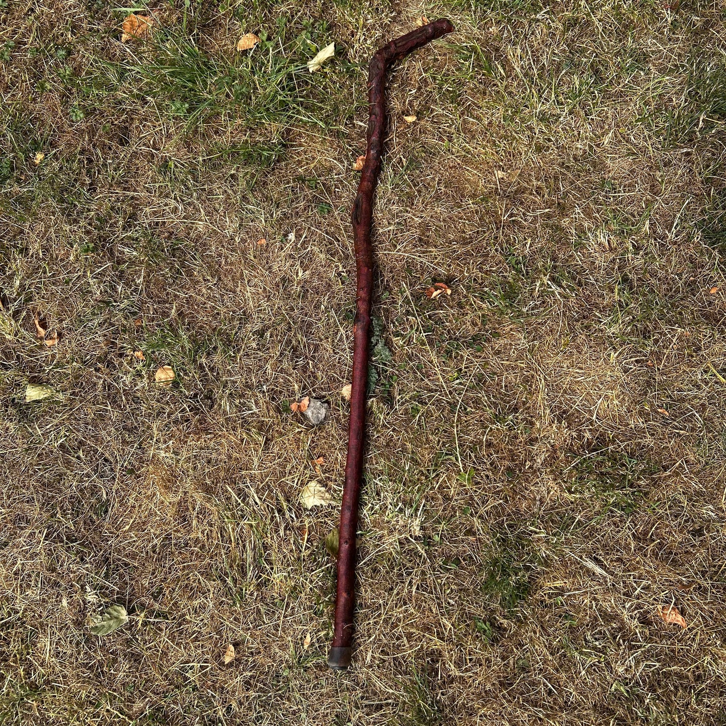 Blackthorn Shillelagh Humpy L Handle – 92.5 cm (36.4”)