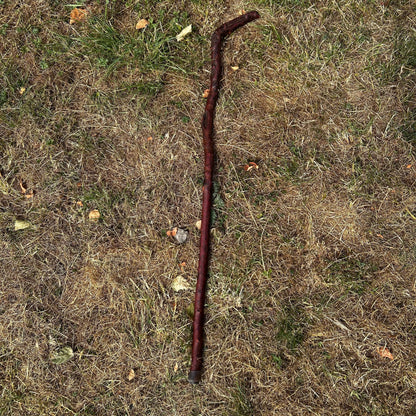 Blackthorn Shillelagh Humpy L Handle – 92.5 cm (36.4”)