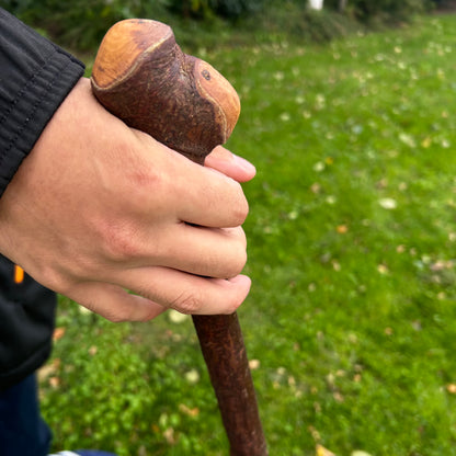 Irish Walking Stick with Small Knob Handle – 95 cm (37.4”)