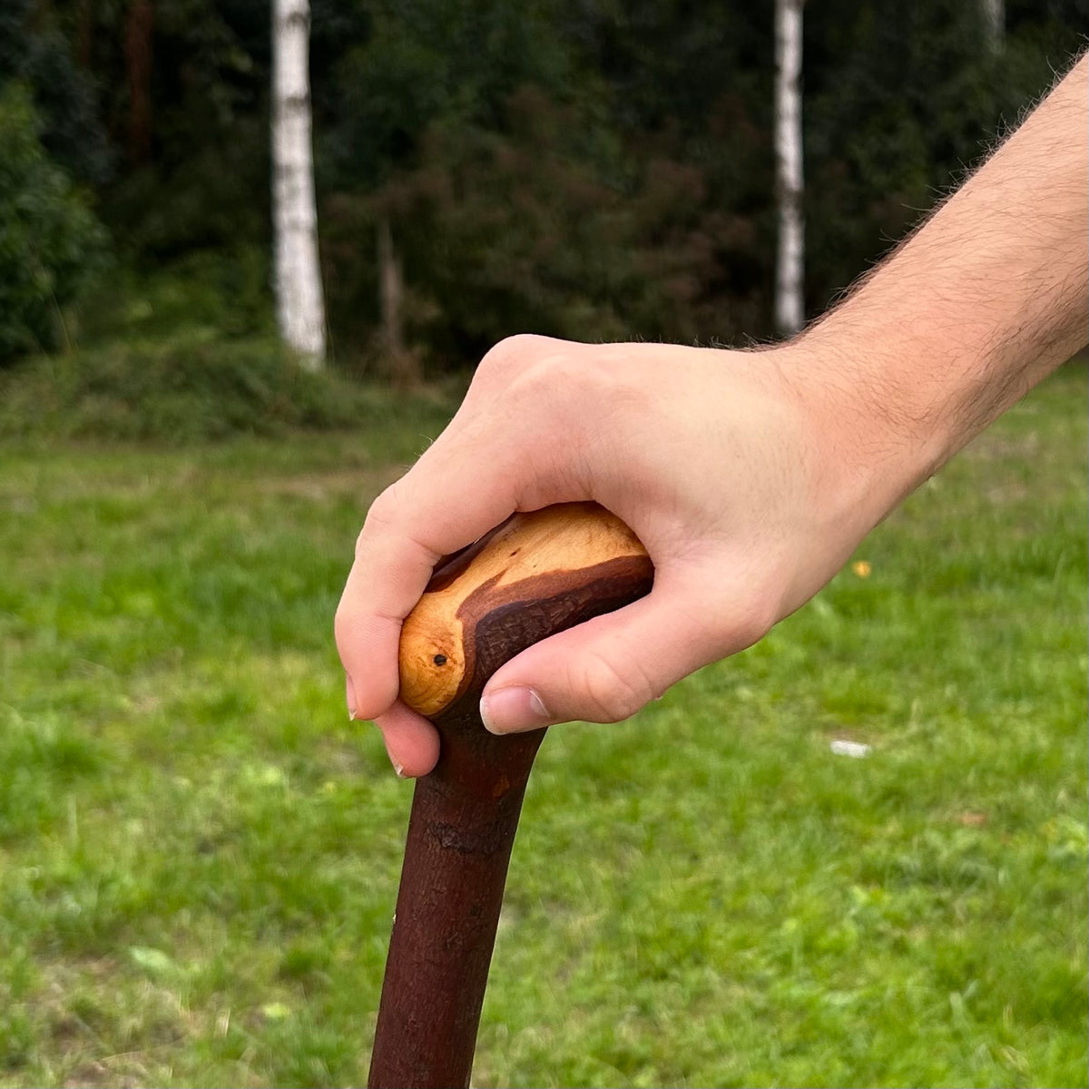 Unusual Chunky Knob Blackthorn Shillelagh – 95 cm (37.4”)