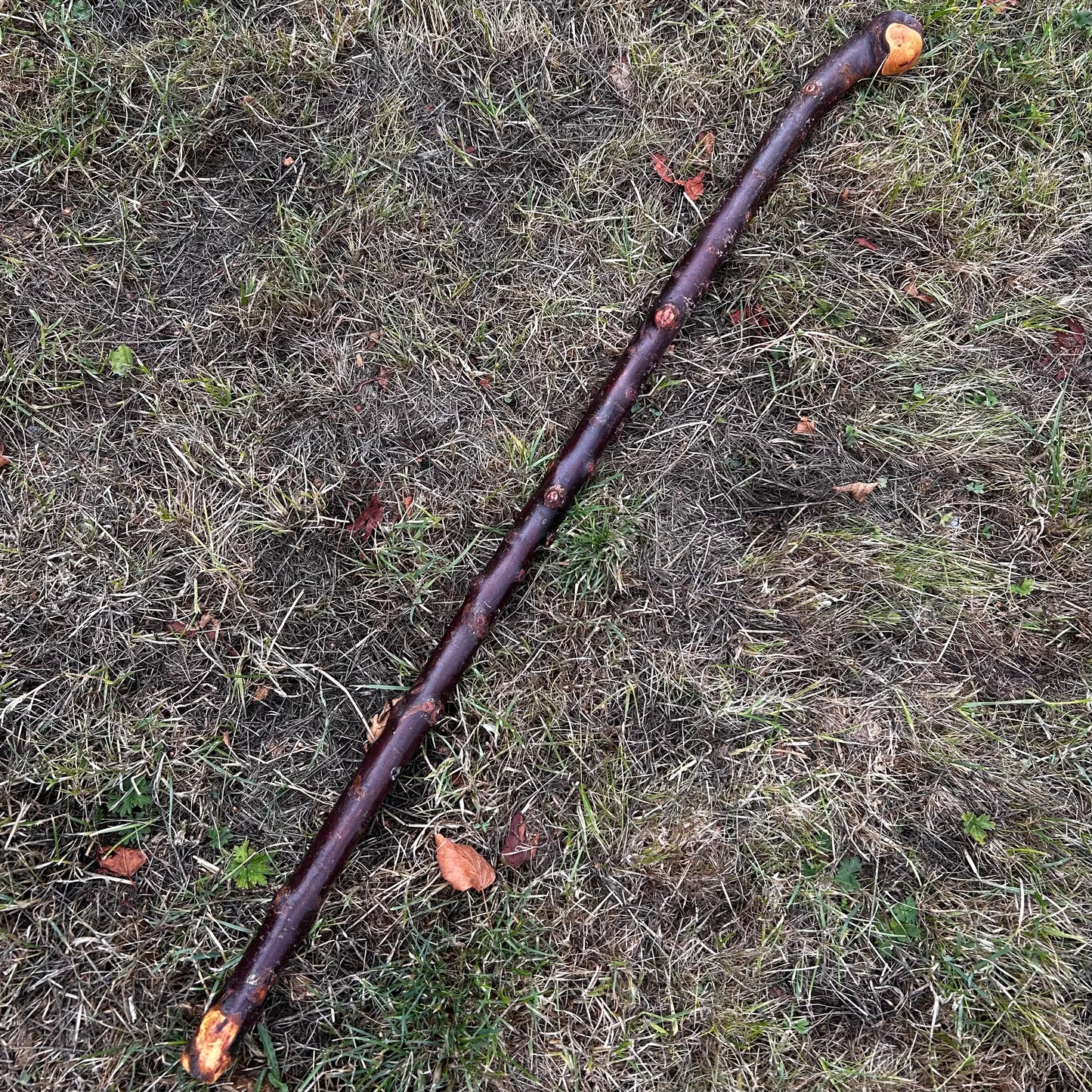 Chunky Blackthorn Shillelagh Knob Stick – 92.7 cm (36.5”)