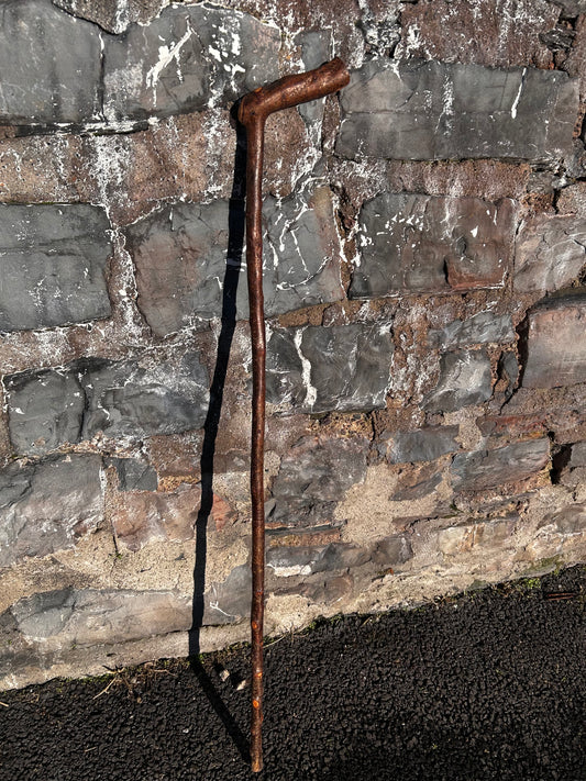Blackthorn Walking Stick with L Handle – 102 cm / 40 inches