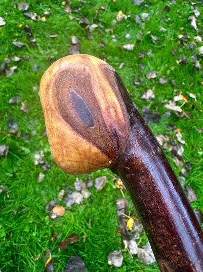 Irish Blackthorn Walking Stick with Knuckles – 40”