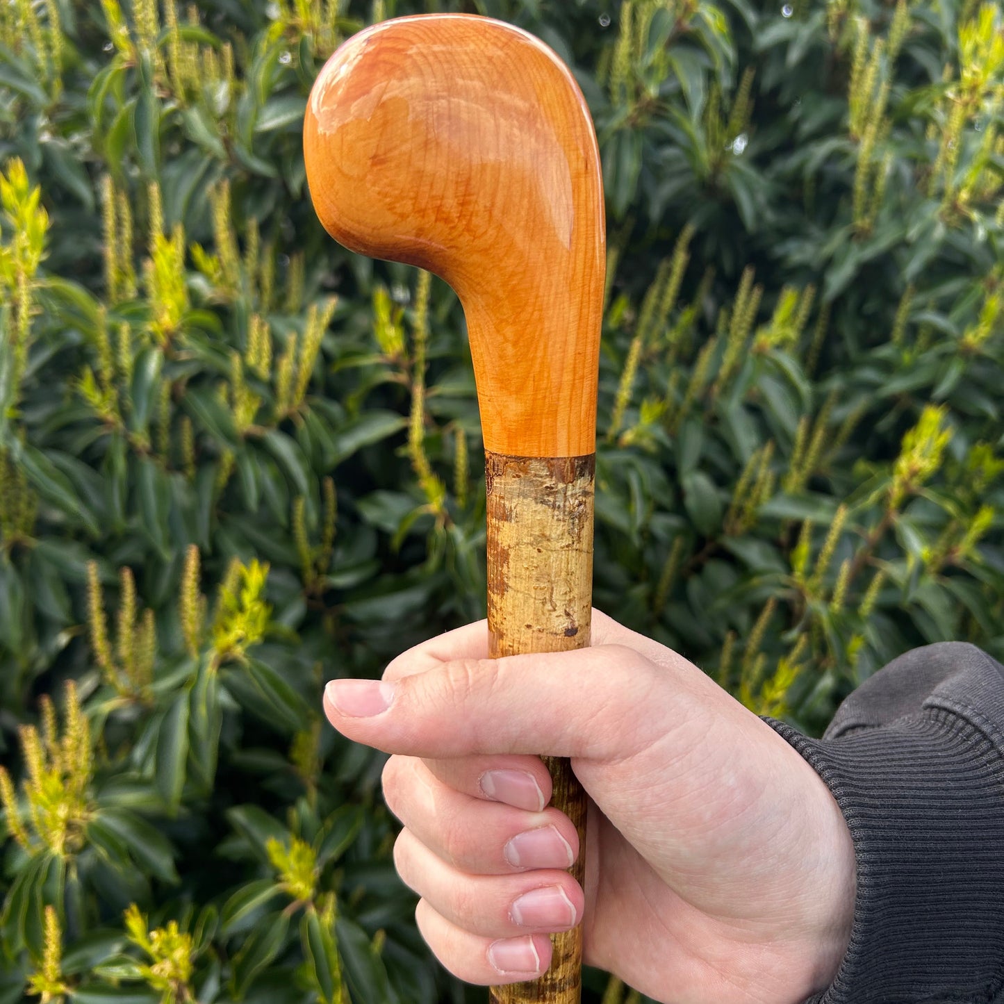 Spalted Beech & Hazel Two-Piece Shillelagh – 103 cm (40.5”)