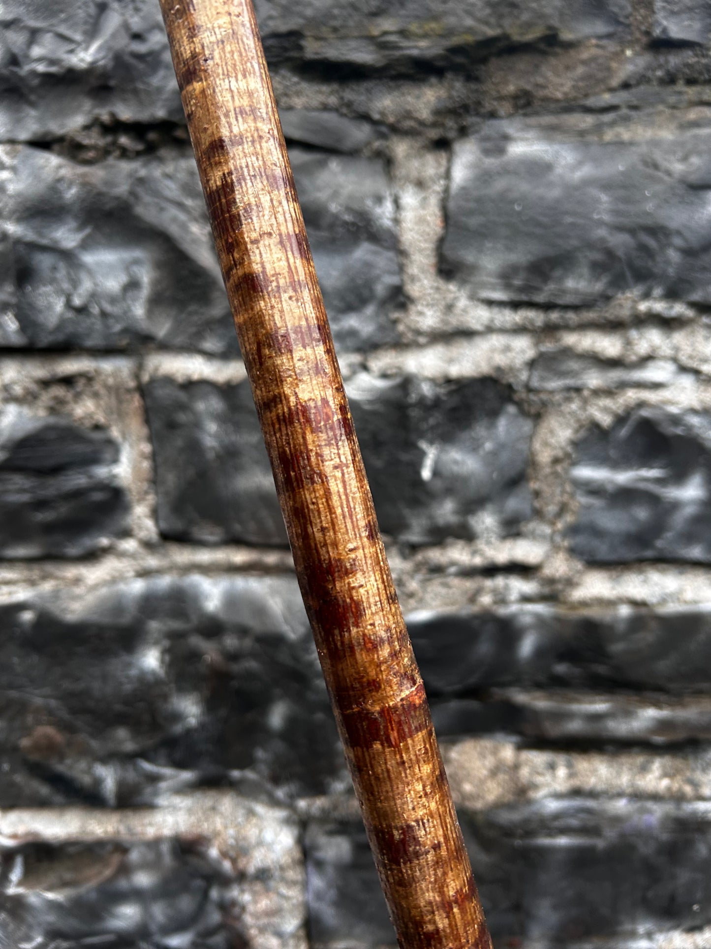 Hazel Walking Stick with Leaning Knob Head – 100 cm (39.4”)