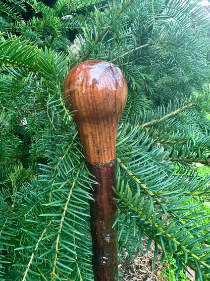 Blackthorn Stick with Spalted Beech Head – 39.5”