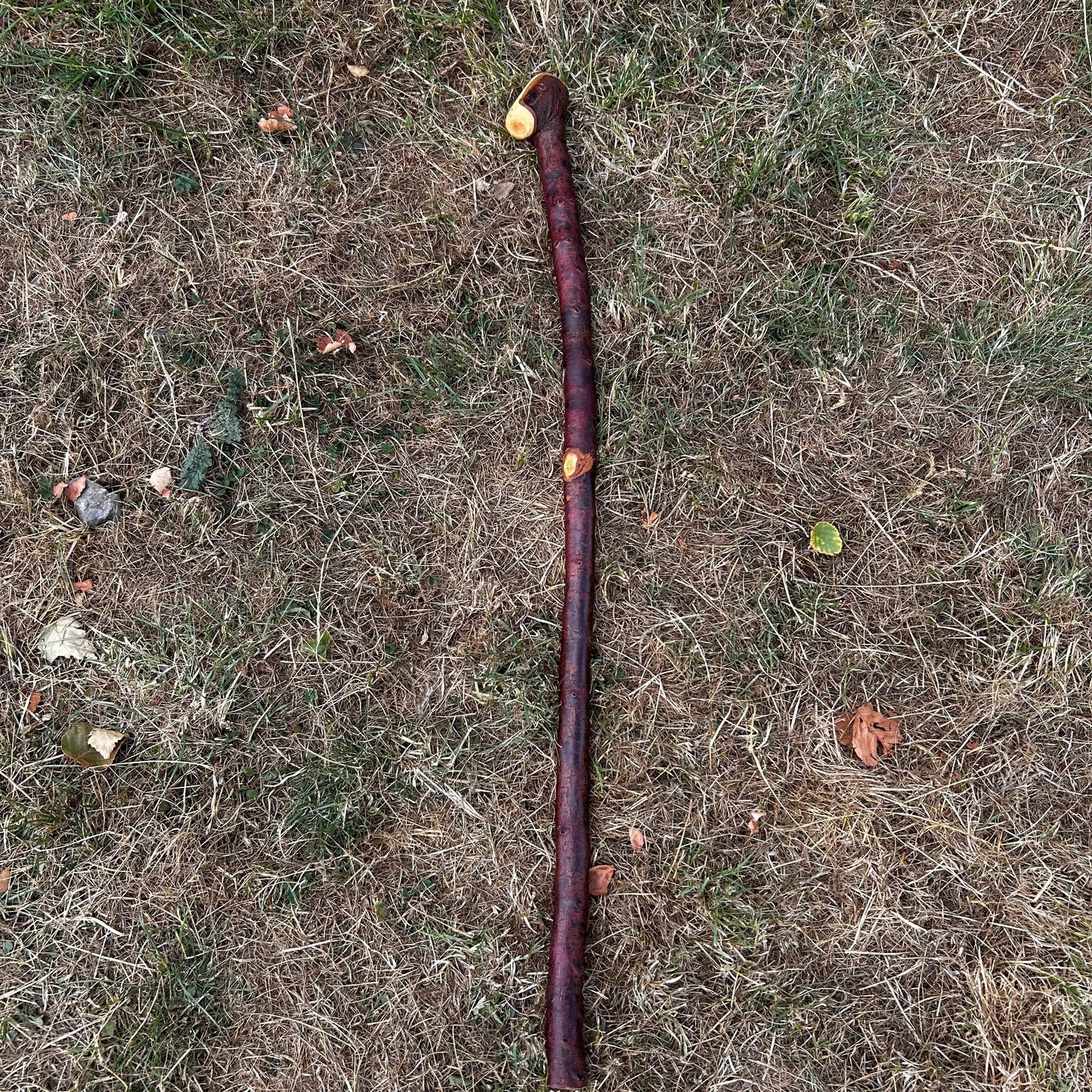 Small Chunky Blackthorn Shillelagh – 82.5 cm (32.5”)