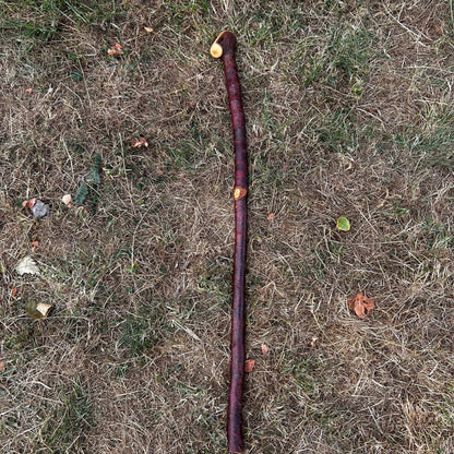 Small Chunky Blackthorn Shillelagh – 82.5 cm (32.5”)