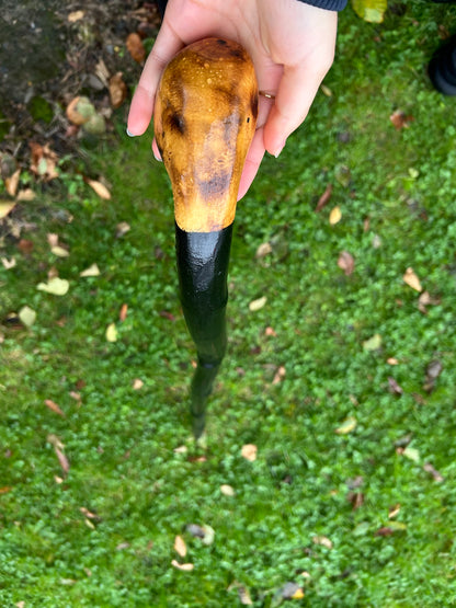 Black-Painted Whitethorn Walking Stick with Round Head – 95 cm