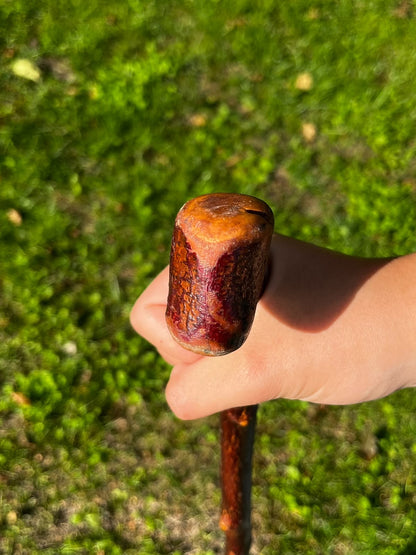 Nicky Knob Knuckle - Blackthorn Shillelagh
