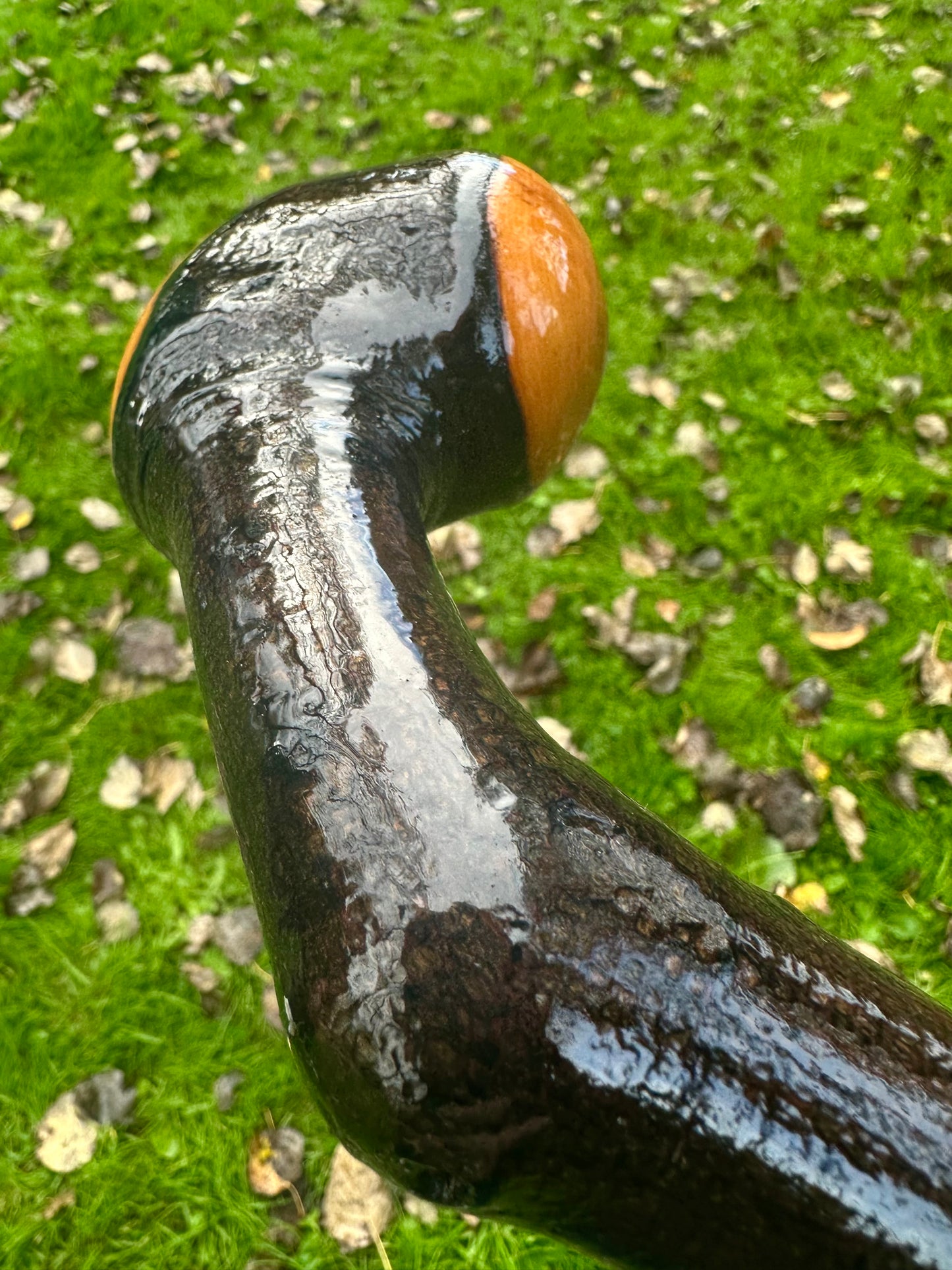 Rare Blackthorn Walking Stick with Purple Heart Head – 39”