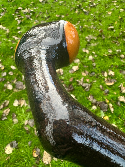 Rare Blackthorn Walking Stick with Purple Heart Head – 39”