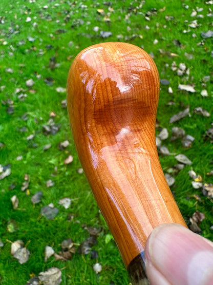 Mottled Hazel Walking Stick with Yew Head – 40”