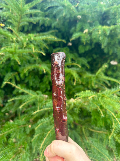 Irish Blackthorn Walking Stick – 40”